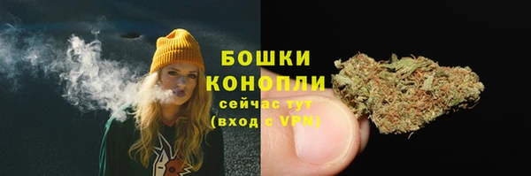 mdpv Козловка