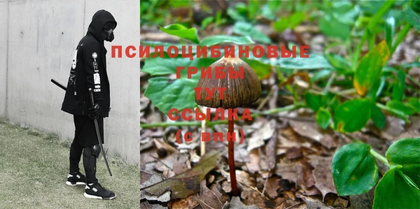 эйфоретик Аркадак