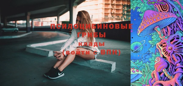 эйфоретик Аркадак